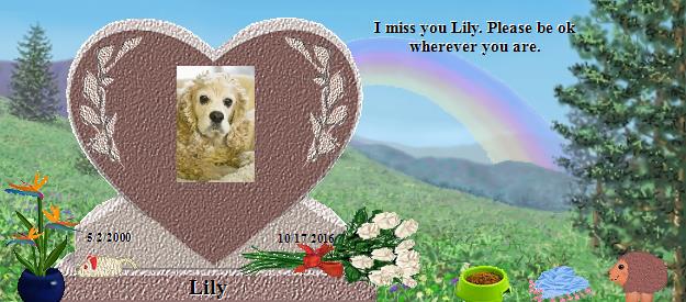 Lily's Rainbow Bridge Pet Loss Memorial Residency Image