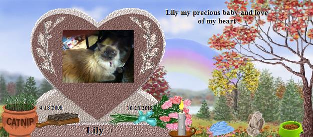 Lily's Rainbow Bridge Pet Loss Memorial Residency Image