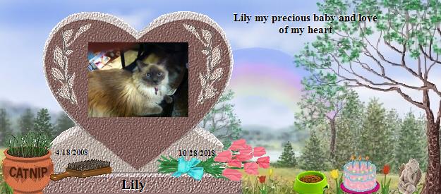 Lily's Rainbow Bridge Pet Loss Memorial Residency Image