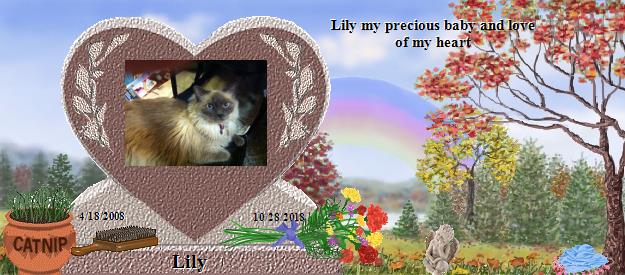 Lily's Rainbow Bridge Pet Loss Memorial Residency Image
