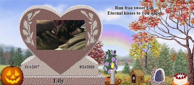 Lily's Rainbow Bridge Pet Loss Memorial Residency Image