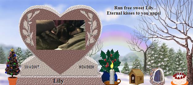 Lily's Rainbow Bridge Pet Loss Memorial Residency Image