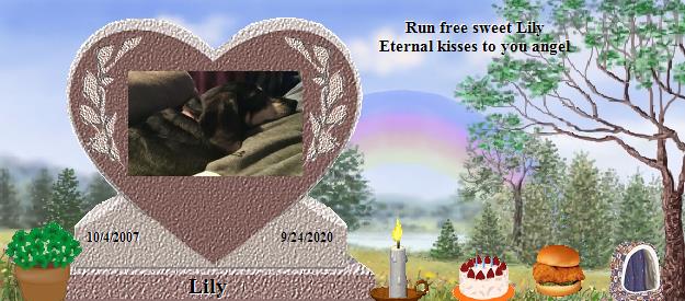Lily's Rainbow Bridge Pet Loss Memorial Residency Image