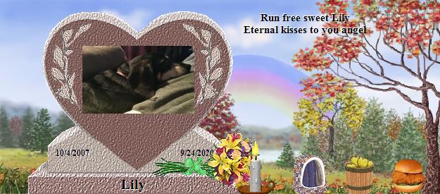 Lily's Rainbow Bridge Pet Loss Memorial Residency Image