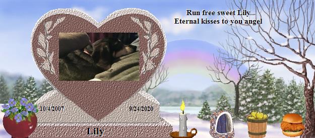 Lily's Rainbow Bridge Pet Loss Memorial Residency Image