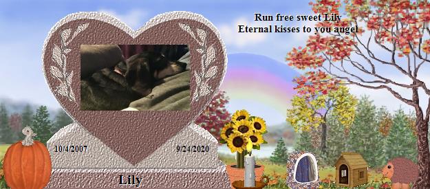 Lily's Rainbow Bridge Pet Loss Memorial Residency Image