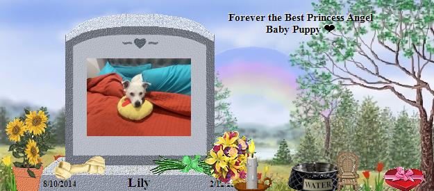 Lily's Rainbow Bridge Pet Loss Memorial Residency Image