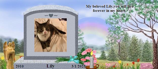 Lily's Rainbow Bridge Pet Loss Memorial Residency Image