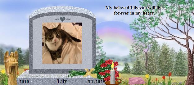 Lily's Rainbow Bridge Pet Loss Memorial Residency Image