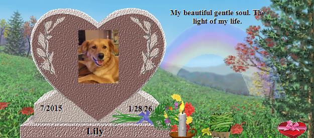Lily's Rainbow Bridge Pet Loss Memorial Residency Image