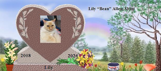 Lily's Rainbow Bridge Pet Loss Memorial Residency Image