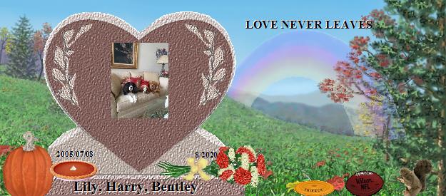 Lily, Harry, Bentley's Rainbow Bridge Pet Loss Memorial Residency Image