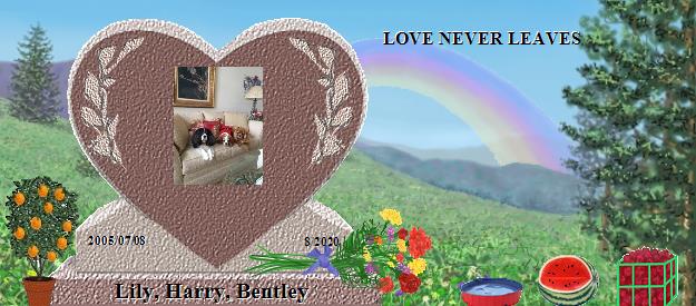 Lily, Harry, Bentley's Rainbow Bridge Pet Loss Memorial Residency Image