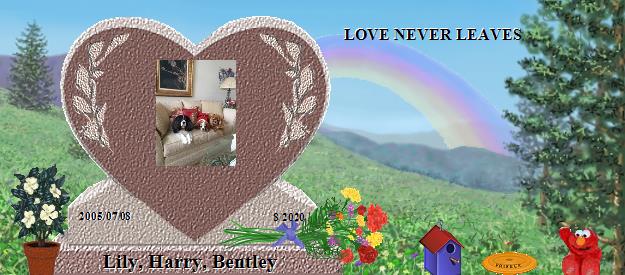 Lily, Harry, Bentley's Rainbow Bridge Pet Loss Memorial Residency Image
