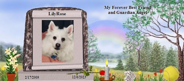 LilyRose's Rainbow Bridge Pet Loss Memorial Residency Image