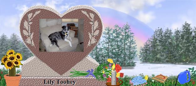 Lily Toohey's Rainbow Bridge Pet Loss Memorial Residency Image