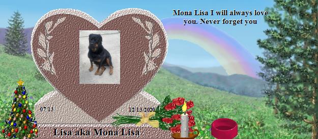 Lisa aka Mona Lisa's Rainbow Bridge Pet Loss Memorial Residency Image