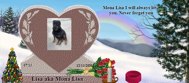 Lisa aka Mona Lisa's Rainbow Bridge Pet Loss Memorial Residency Image