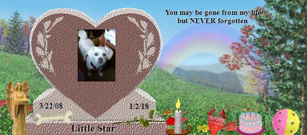 Little Star's Rainbow Bridge Pet Loss Memorial Residency Image