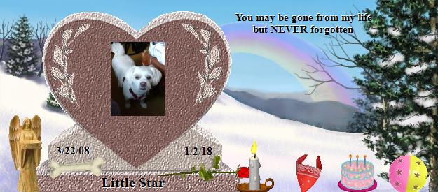 Little Star's Rainbow Bridge Pet Loss Memorial Residency Image