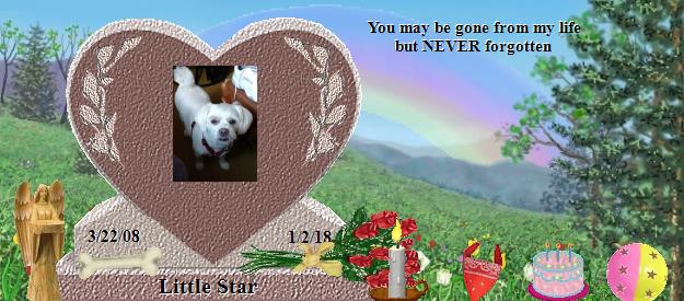 Little Star's Rainbow Bridge Pet Loss Memorial Residency Image