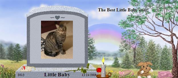 Little Baby's Rainbow Bridge Pet Loss Memorial Residency Image