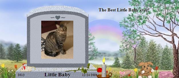 Little Baby's Rainbow Bridge Pet Loss Memorial Residency Image