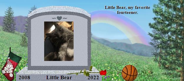 Little Bear's Rainbow Bridge Pet Loss Memorial Residency Image