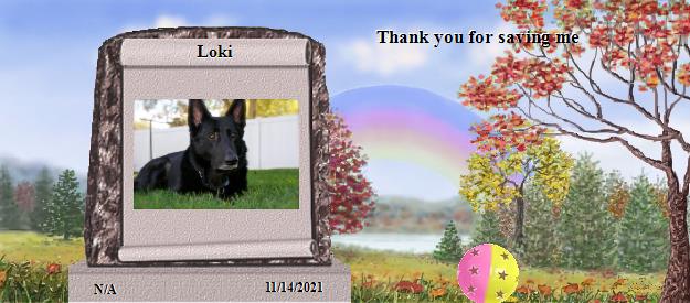 Loki's Rainbow Bridge Pet Loss Memorial Residency Image