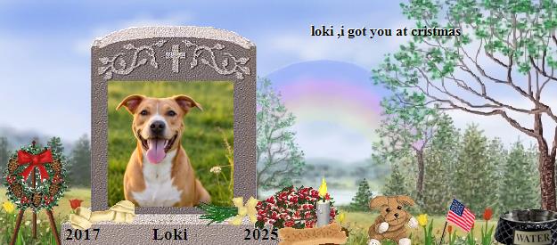 Loki's Rainbow Bridge Pet Loss Memorial Residency Image