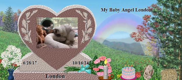 London's Rainbow Bridge Pet Loss Memorial Residency Image
