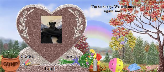 Luci's Rainbow Bridge Pet Loss Memorial Residency Image