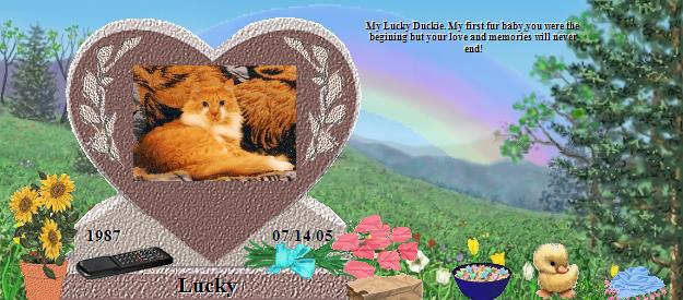 Lucky's Rainbow Bridge Pet Loss Memorial Residency Image