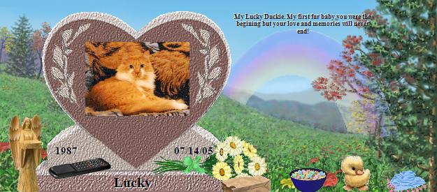 Lucky's Rainbow Bridge Pet Loss Memorial Residency Image