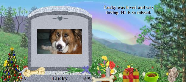 Lucky's Rainbow Bridge Pet Loss Memorial Residency Image