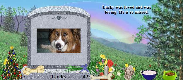 Lucky's Rainbow Bridge Pet Loss Memorial Residency Image