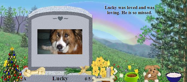 Lucky's Rainbow Bridge Pet Loss Memorial Residency Image