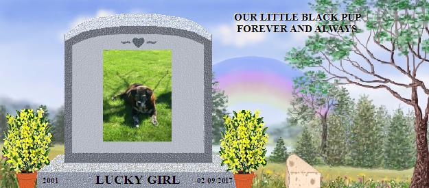 LUCKY GIRL's Rainbow Bridge Pet Loss Memorial Residency Image