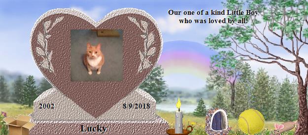Lucky's Rainbow Bridge Pet Loss Memorial Residency Image