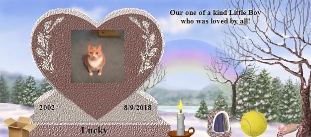 Lucky's Rainbow Bridge Pet Loss Memorial Residency Image