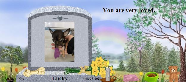 Lucky's Rainbow Bridge Pet Loss Memorial Residency Image