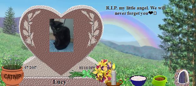 Lucy's Rainbow Bridge Pet Loss Memorial Residency Image