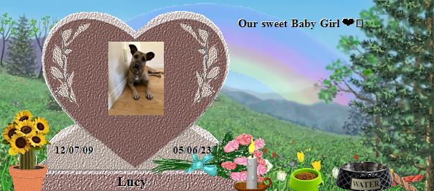 Lucy's Rainbow Bridge Pet Loss Memorial Residency Image