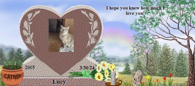 Lucy's Rainbow Bridge Pet Loss Memorial Residency Image