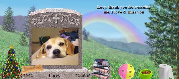 Lucy's Rainbow Bridge Pet Loss Memorial Residency Image