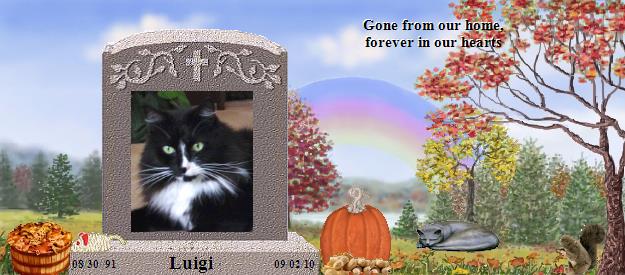 Luigi's Rainbow Bridge Pet Loss Memorial Residency Image