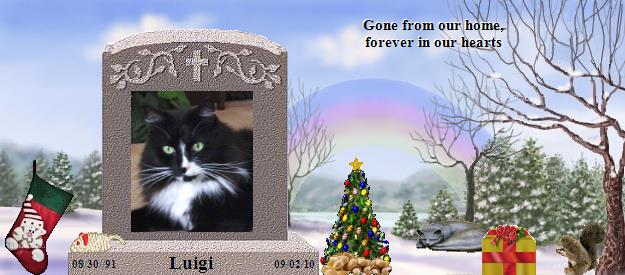 Luigi's Rainbow Bridge Pet Loss Memorial Residency Image