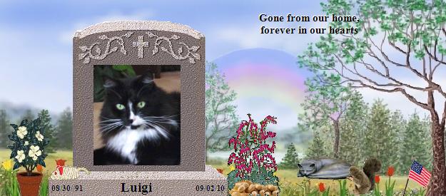 Luigi's Rainbow Bridge Pet Loss Memorial Residency Image
