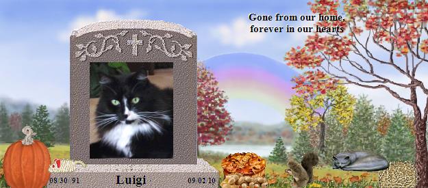 Luigi's Rainbow Bridge Pet Loss Memorial Residency Image