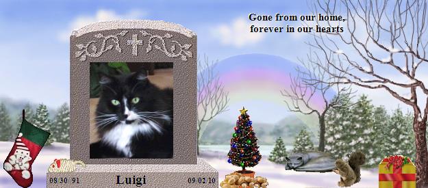 Luigi's Rainbow Bridge Pet Loss Memorial Residency Image